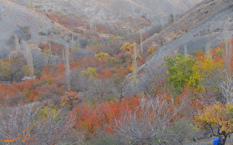 روستای زشک