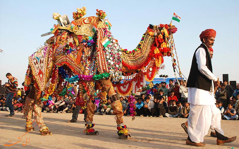 جشنواره شتر بیکانر در راجستان هند