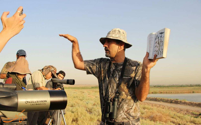 پرنده نگری در ایران