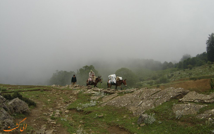 طبیعت گردی حرفه ای در آغوزحال