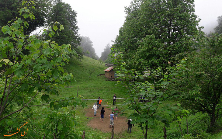 ییلاق آغوزحال در مازندران