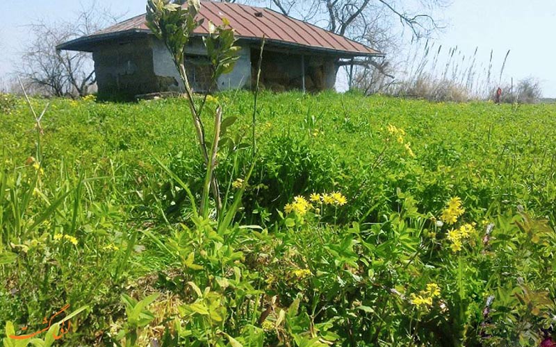 روستای گالشکا | Galesh Kola