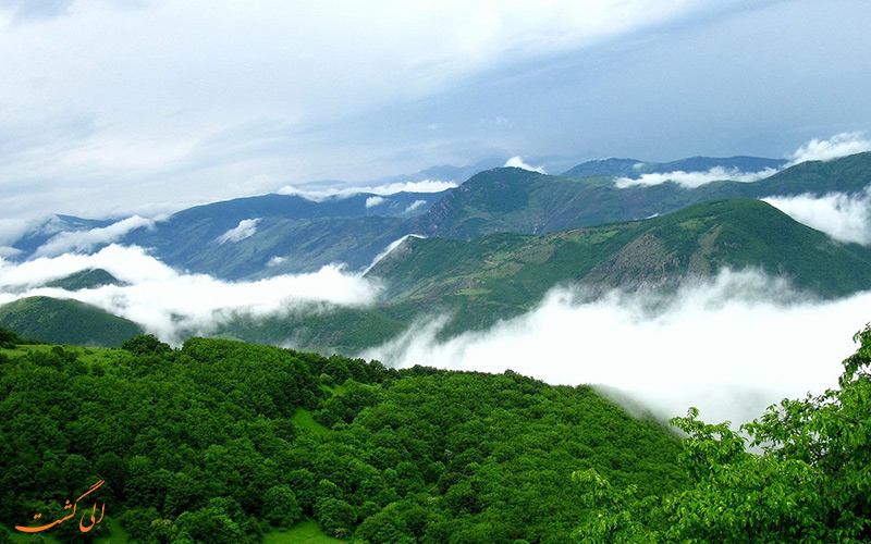 جنگل های هیرکانی ایران