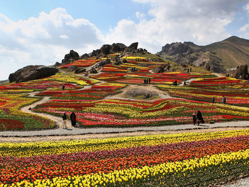 گلزارهای ایران