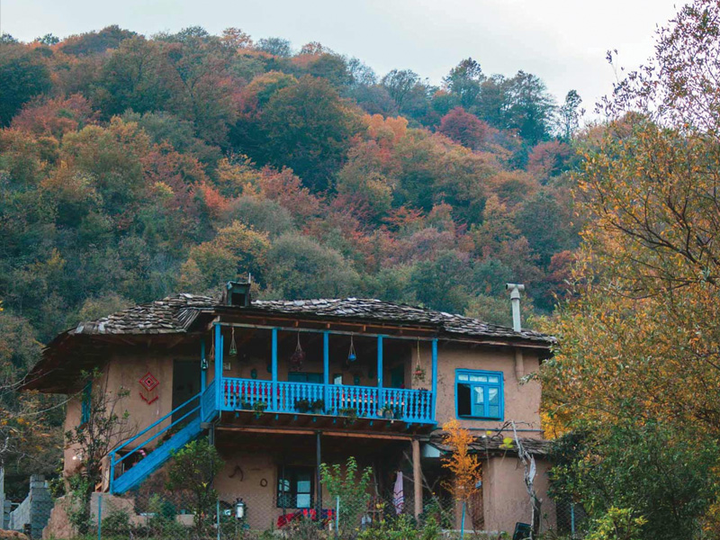 بومرگردی مادر جون