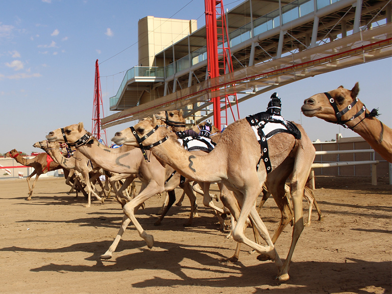 واقعیت عجیب درباره دبی