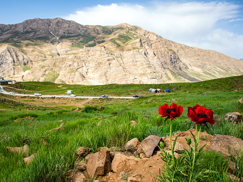 دشت لار - چشمه آب گرم نزدیک تهران - الی گشت