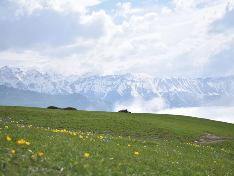 سفر نوروزی به چالوس - نوروز در شمال ایران - الی گشت