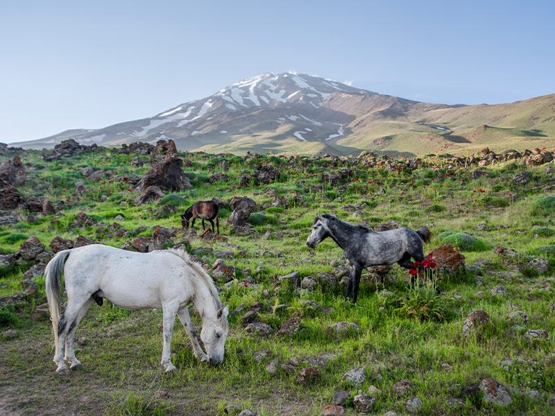 سفر نوروزی به مازندران - الی گشت