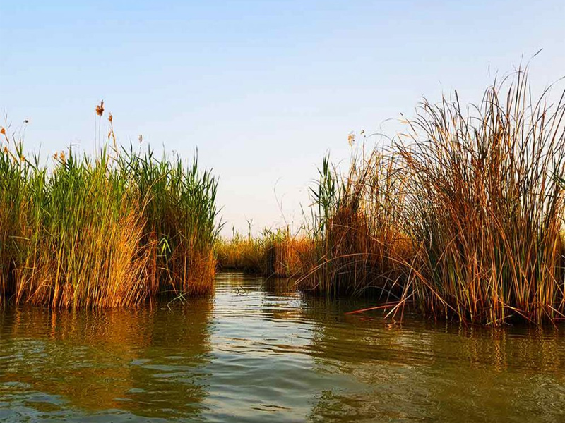 سفر نوروزی در ایران