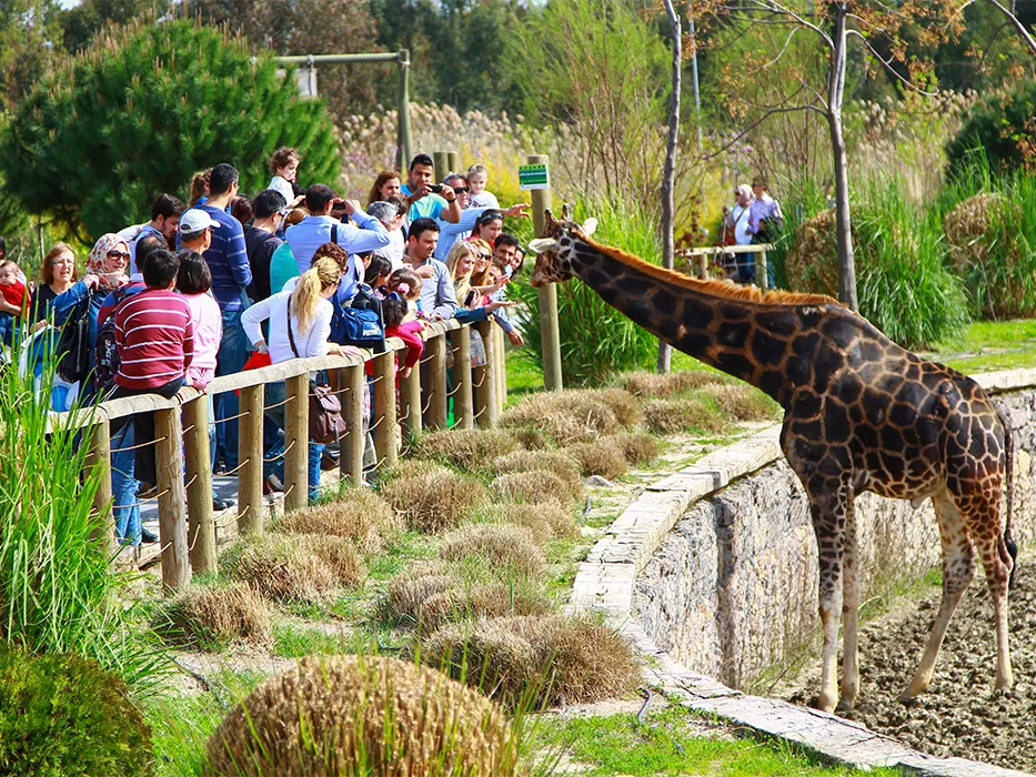 پارک حیات‌ وحش (Izmir Wildlife Park)از جاذبه های ازمیر