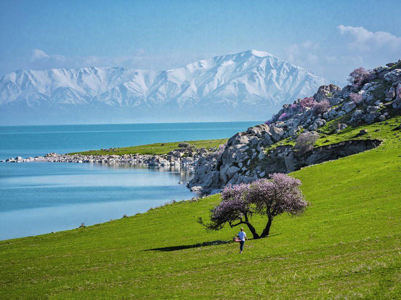 جزیره کارپاناک - الی گشت