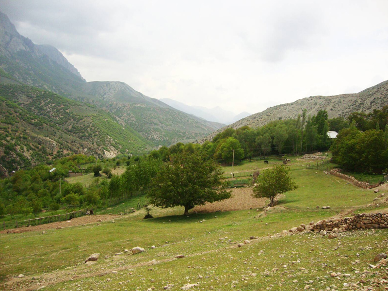 منطقه حفاظت شده پرور