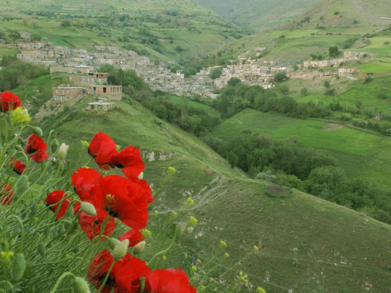 کوهستان سارال