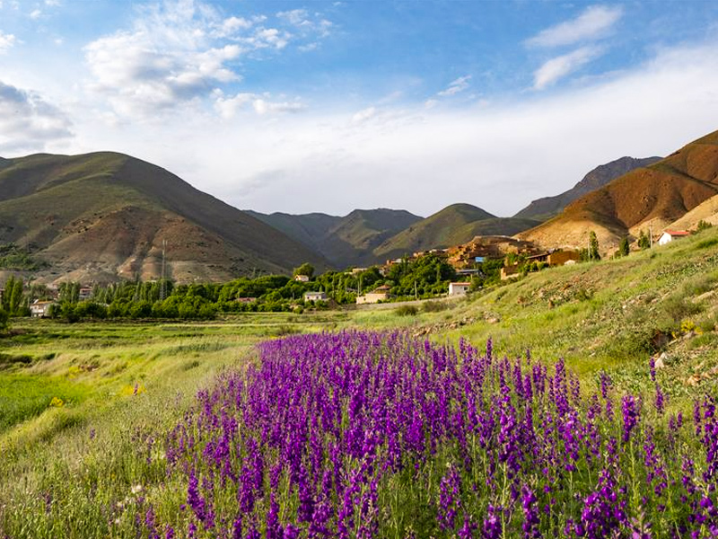 معرفی روستای چاشم