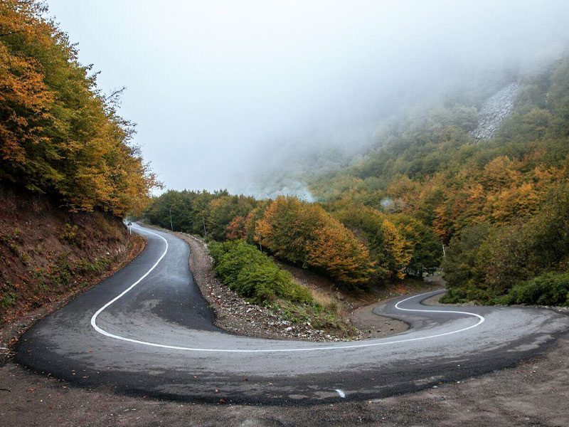 اکولوژهای سبز ایران