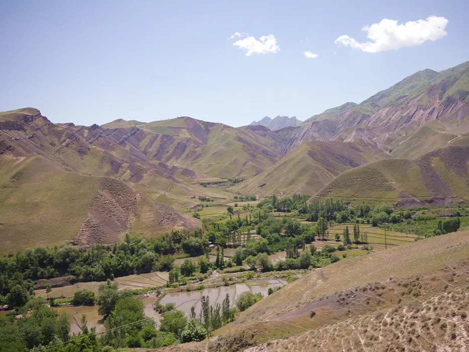 سفر به هزار مسجد