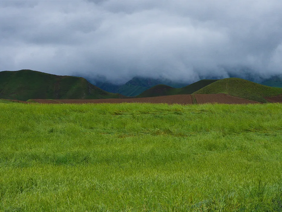 رشته کوه هزار مسجد