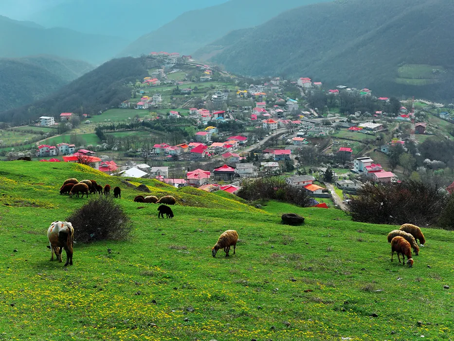 روستای فشکور