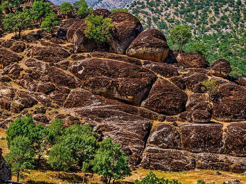 مخمل کوه