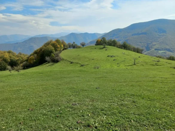 روستای کرینگان