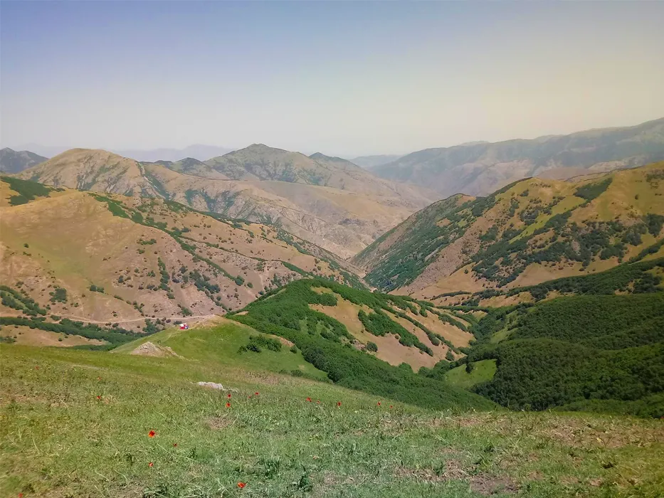 روستای کرینگان