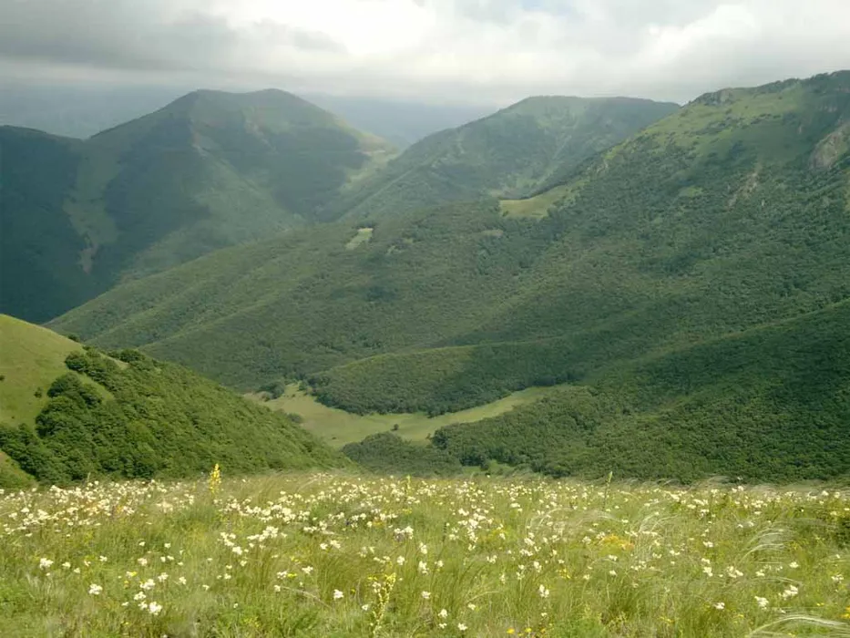 روستای کرینگان