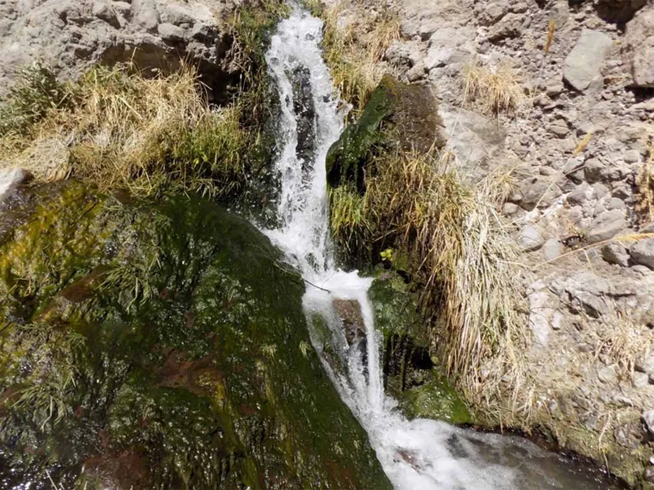 چشمه آب معدنی موسی