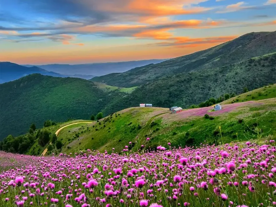 روستای داماش رودبار